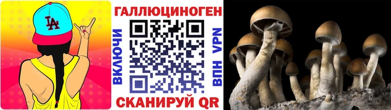 Купить закладки  Камешково  Галлюциногенные грибы ЛСД 