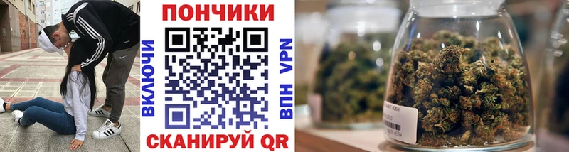 Купить где  Камешково  Шишки марихуана ГИДРОПОН 